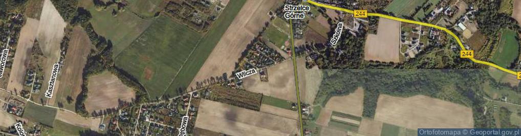 Zdjęcie satelitarne Wilcza ul.